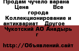 Продам чучело варана. › Цена ­ 15 000 - Все города Коллекционирование и антиквариат » Другое   . Чукотский АО,Анадырь г.